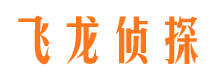 怀安飞龙私家侦探公司